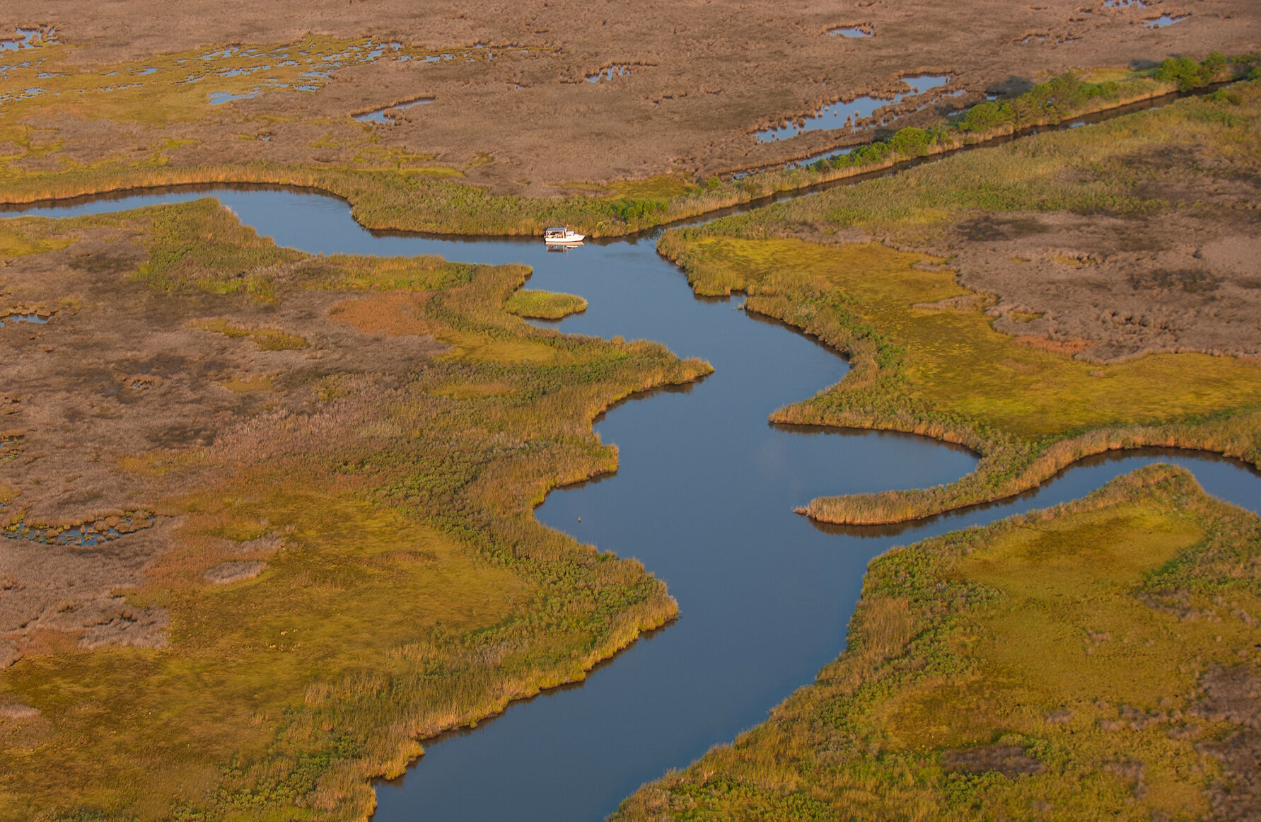 Eastern Shore marsh aerial